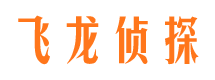 红塔飞龙私家侦探公司